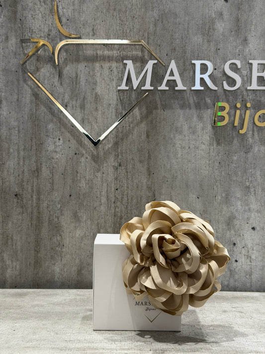 FIORE FASHION CHAMPAGNE