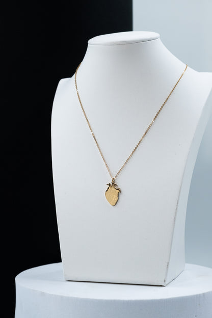 COLLANA CUORE ANATOMICO
